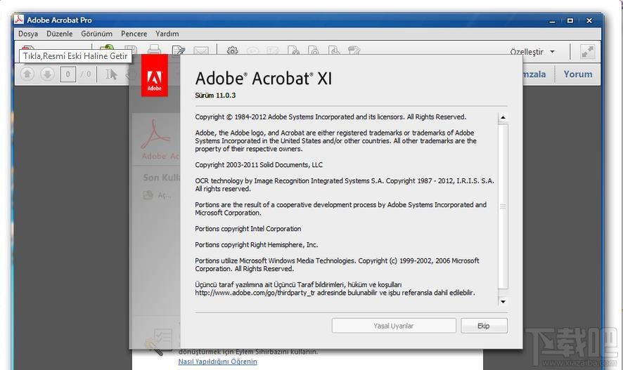 Adobe Acrobat XI Pro(1)