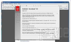 Adobe Acrobat XI Pro(3)