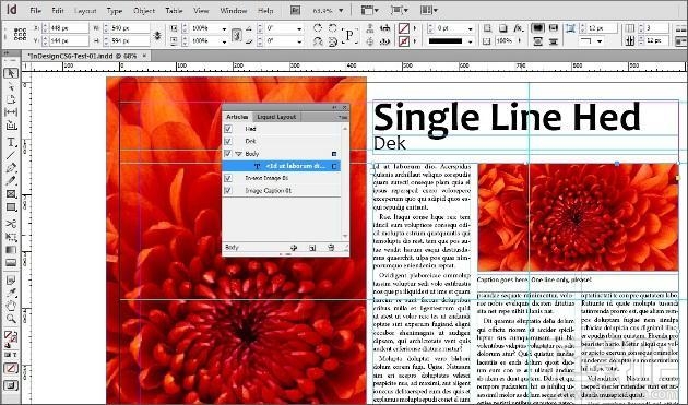 Adobe InDesign CS6(3)