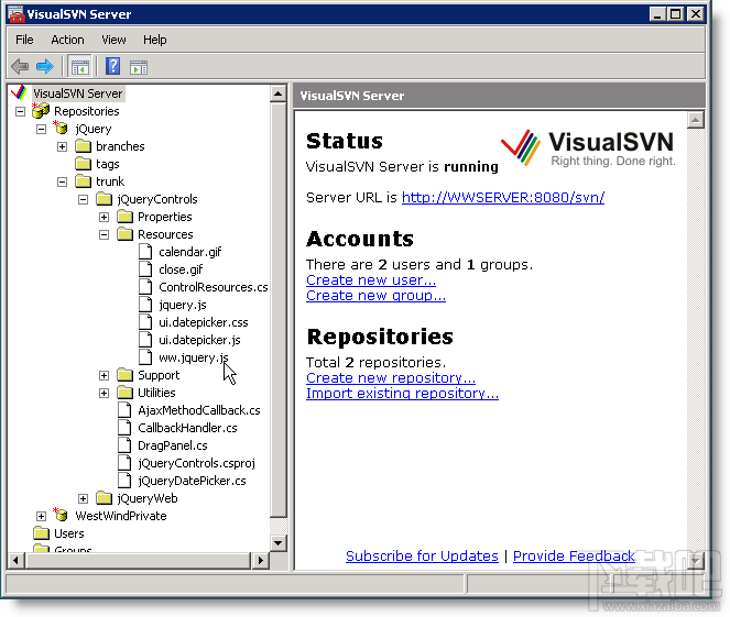 VisualSVN Server(1)