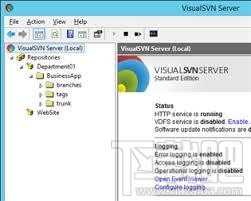 VisualSVN Server(3)