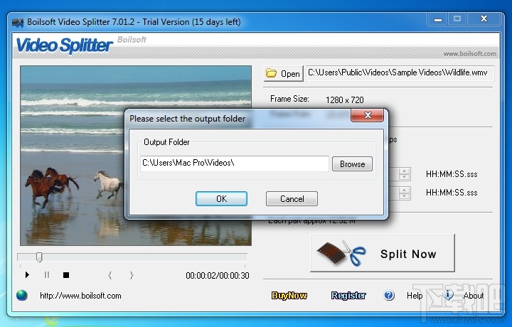 Boilsoft Video Splitter(3)