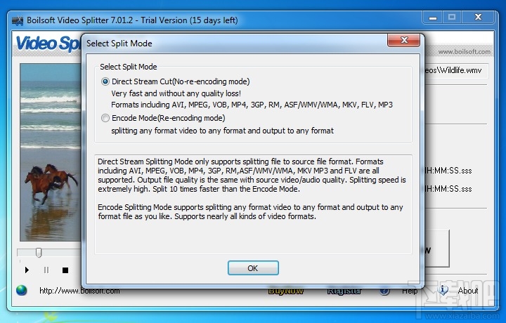 Boilsoft Video Splitter(1)