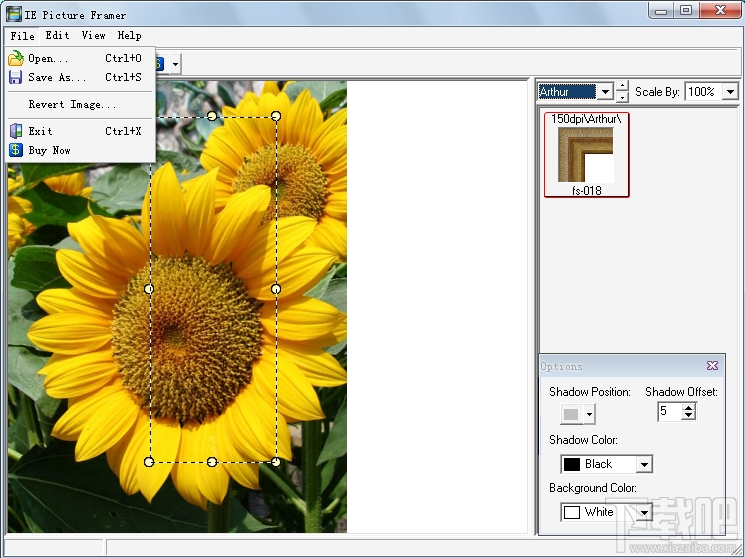 ImageElements Picture Framer(3)