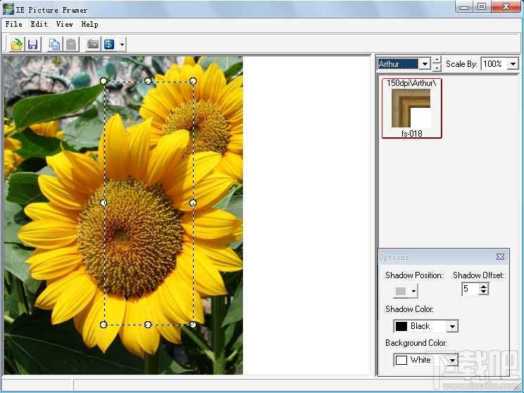 ImageElements Picture Framer(1)