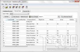 SQLite Database Browser(3)