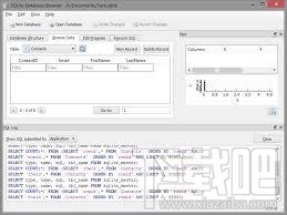 SQLite Database Browser(2)