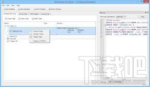 SQLite Database Browser(1)