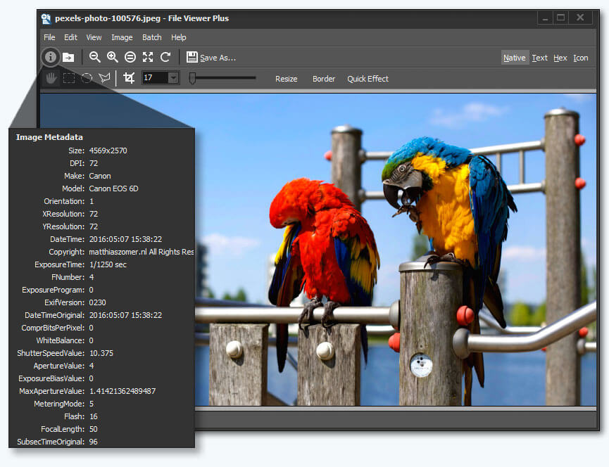 File Viewer Plus(2)