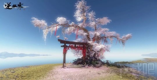 逆水寒七夕云樱岛在哪里？怎么玩？