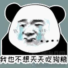 抖音别问我为什么还单身表情包