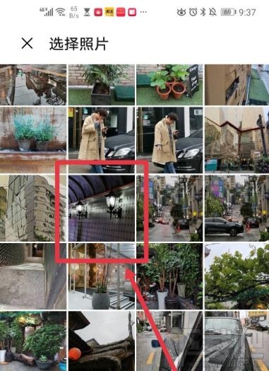 snapseed魅力光晕怎么添加？snapseed添加魅力光晕的教程