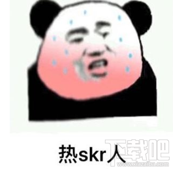 skr是什么意思？