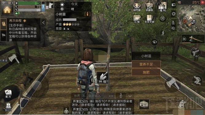 明日之后小树苗怎么得 明日之后小树苗获得攻略