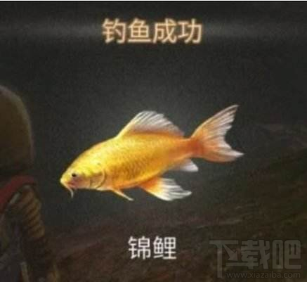 明日之后锦鲤在哪钓 明日之后锦鲤钓法攻略