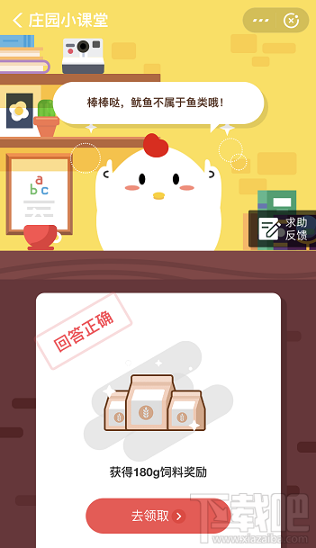 支付宝蚂蚁庄园12月4日答案 下面哪种鱼不属于鱼类鱿鱼or鲨鱼