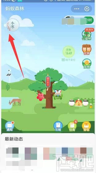 支付宝蚂蚁森林梅花挂件怎么领取？