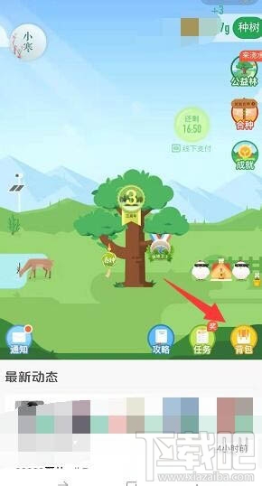 支付宝蚂蚁森林梅花挂件怎么领取？