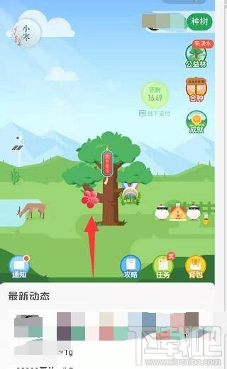 关于蚂蚁森林的茶叶怎么获得的信息 关于蚂蚁丛林
的茶叶怎么得到
的信息《关于蚂蚁丛林的茶叶怎么得到的信息和信息》 茶叶资讯