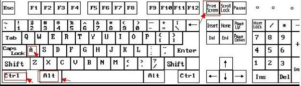 电脑怎么截图，电脑截图的快捷键是什么