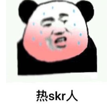 skr是什么意思？