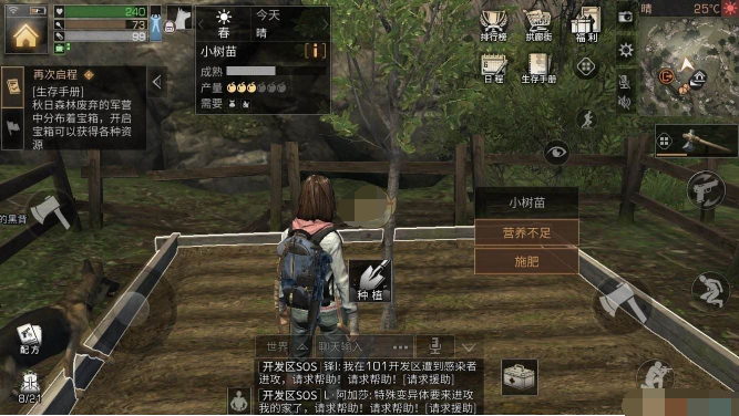 明日之后小树苗怎么得 明日之后小树苗获得攻略