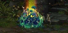 dnf神秘药草是什么？dnf神秘药草获得方法