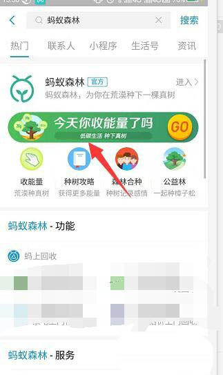 支付宝蚂蚁森林梅花挂件怎么领取？