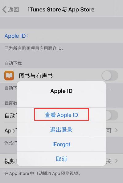 iPhone应用购买记录在哪看？查看iPhone上所有购买历史记录的方法