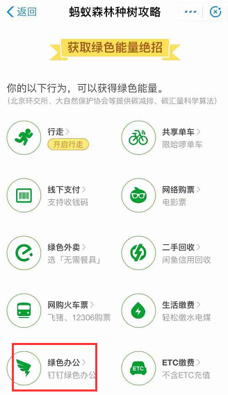 钉钉班级树能量不足怎么办？班级树能量获取方法