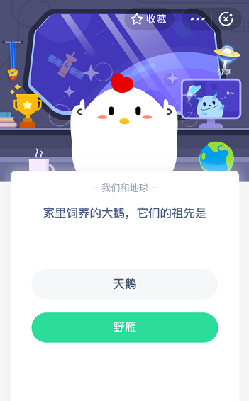 支付宝蚂蚁庄园5月15日答案 家里饲养的大鹅它们的祖先是
